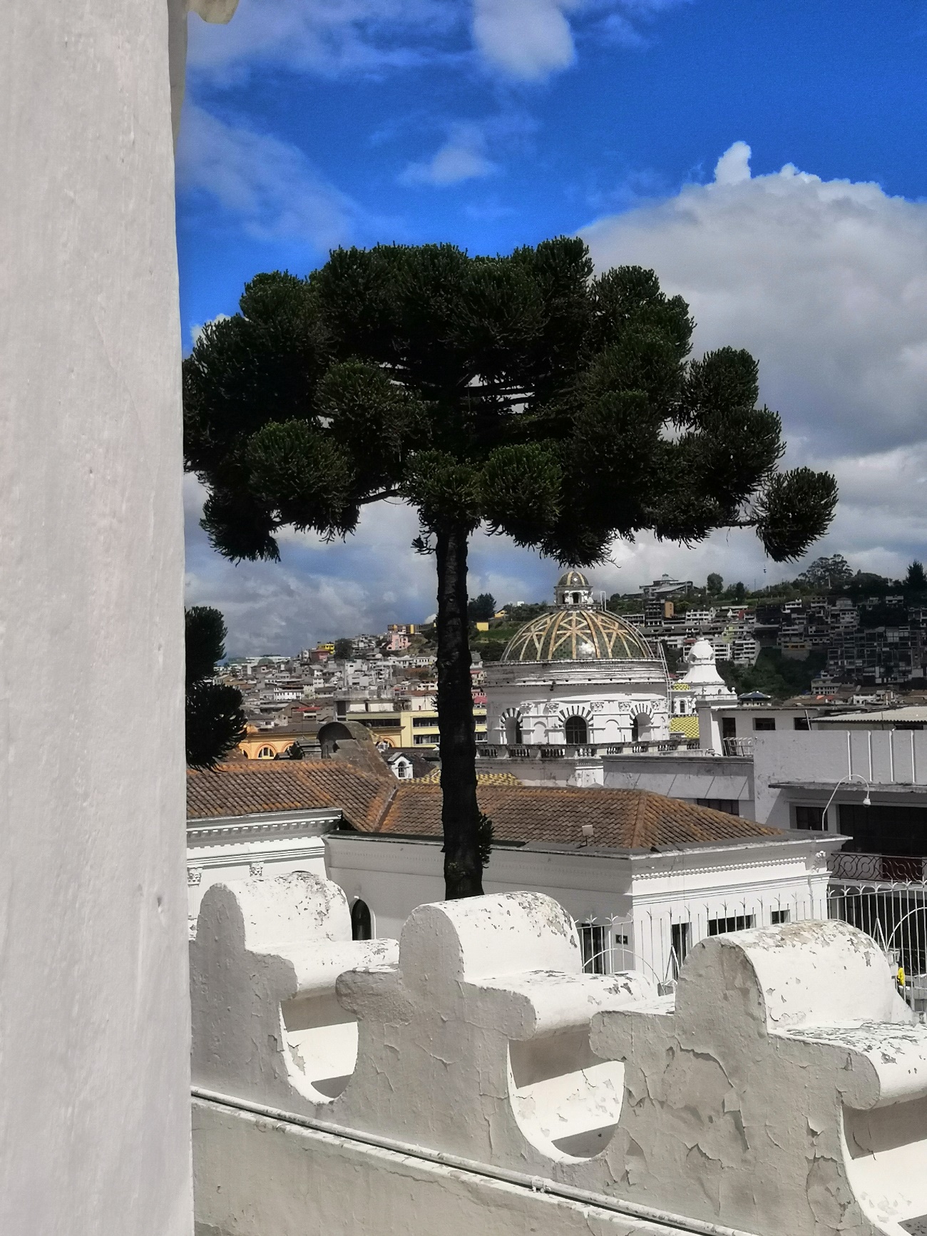 Desde las cúpulas de la Iglesia de la Compañía de Jesús se puede apreciar una vista panorámica de la ciudad de Quito, hacia el Ichimbia.