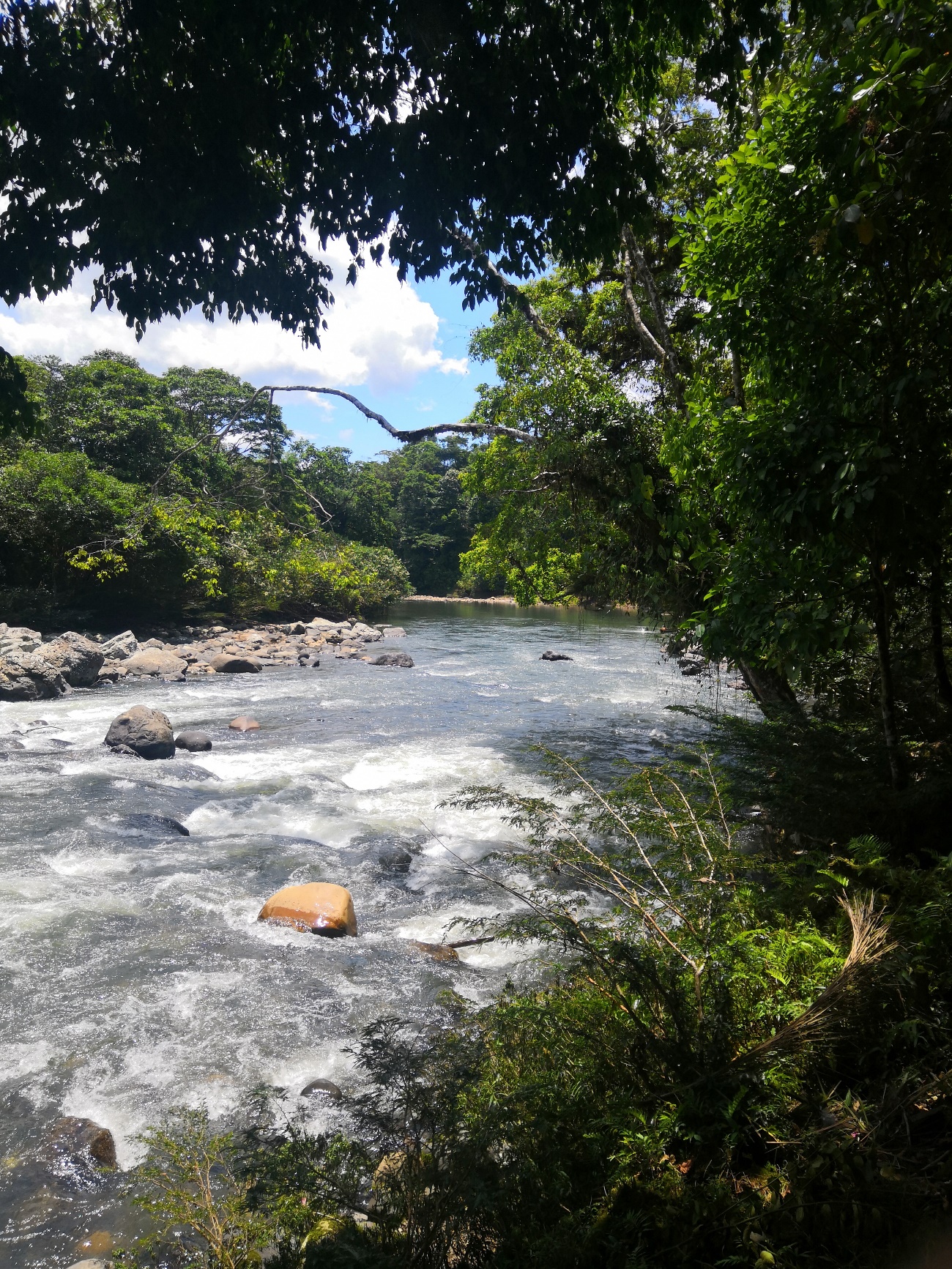 El río Tena es un río en Ecuador cuenta con una diversidad de atractivos naturales y manifestaciones culturales que se ubican en cada una de las parroquias las mismas que poseen características especiales que permiten a los visitantes conocer su historia y tradiciones de laetnia Kichwa. a una altitud de 510 msnm., en la Región Amazónica del Ecuador.